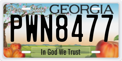 GA license plate PWN8477