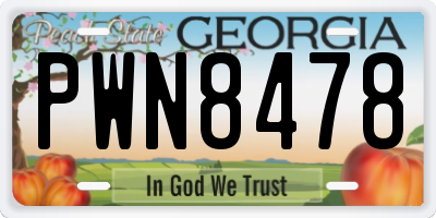 GA license plate PWN8478