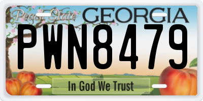 GA license plate PWN8479
