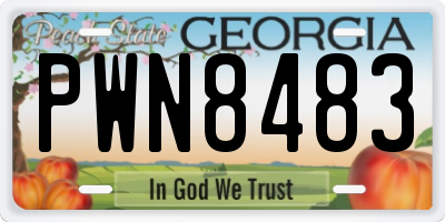 GA license plate PWN8483