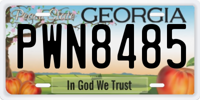 GA license plate PWN8485