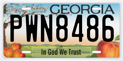 GA license plate PWN8486