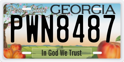 GA license plate PWN8487