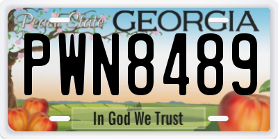 GA license plate PWN8489