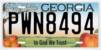 GA license plate PWN8494