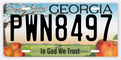 GA license plate PWN8497