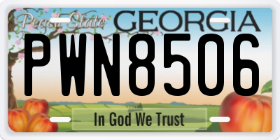 GA license plate PWN8506