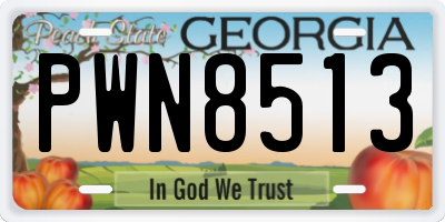 GA license plate PWN8513