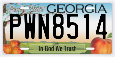 GA license plate PWN8514