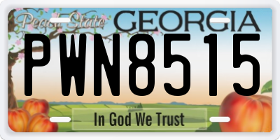 GA license plate PWN8515