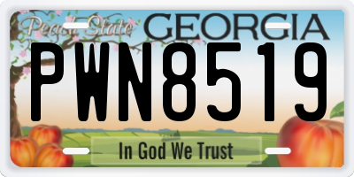 GA license plate PWN8519
