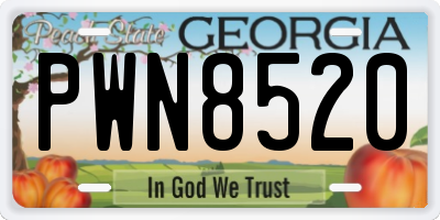 GA license plate PWN8520
