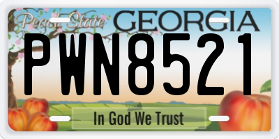 GA license plate PWN8521