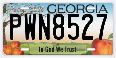 GA license plate PWN8527