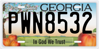 GA license plate PWN8532