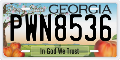 GA license plate PWN8536