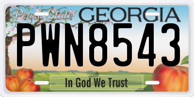 GA license plate PWN8543