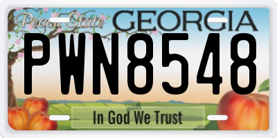 GA license plate PWN8548