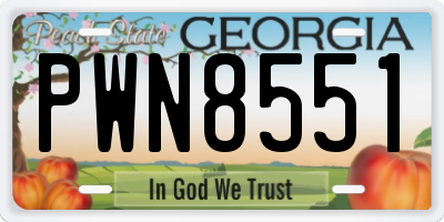 GA license plate PWN8551