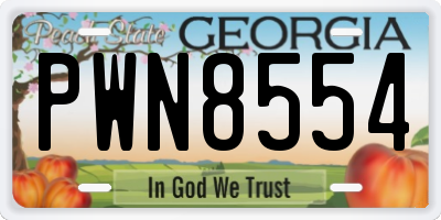 GA license plate PWN8554