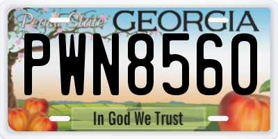 GA license plate PWN8560