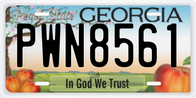 GA license plate PWN8561