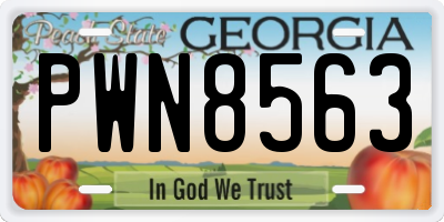 GA license plate PWN8563