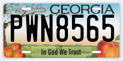 GA license plate PWN8565