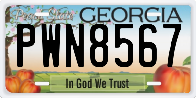 GA license plate PWN8567