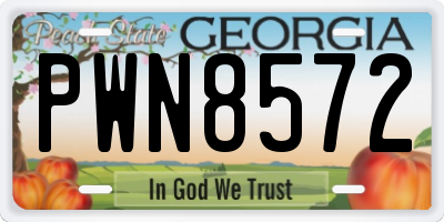 GA license plate PWN8572