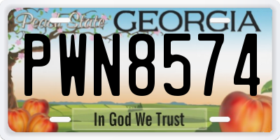 GA license plate PWN8574