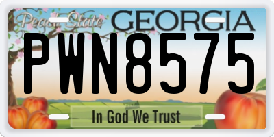 GA license plate PWN8575