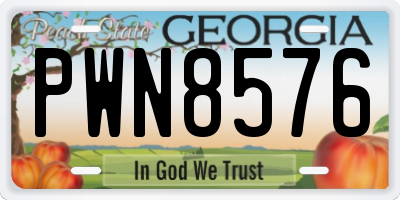 GA license plate PWN8576