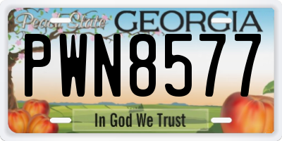 GA license plate PWN8577