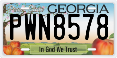 GA license plate PWN8578