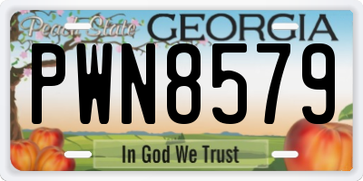 GA license plate PWN8579