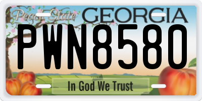 GA license plate PWN8580