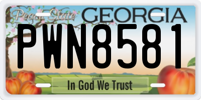 GA license plate PWN8581