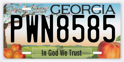 GA license plate PWN8585