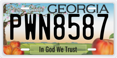 GA license plate PWN8587