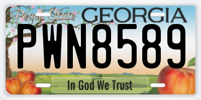 GA license plate PWN8589