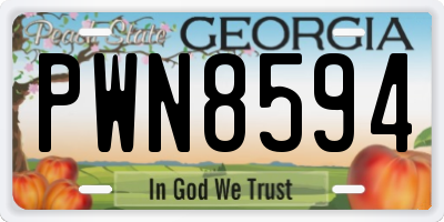 GA license plate PWN8594