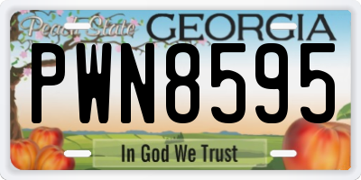 GA license plate PWN8595