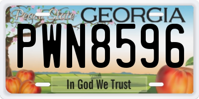 GA license plate PWN8596
