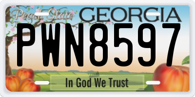 GA license plate PWN8597