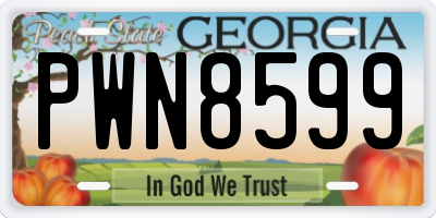 GA license plate PWN8599