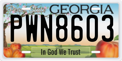 GA license plate PWN8603