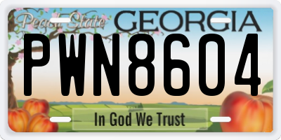 GA license plate PWN8604