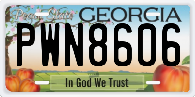GA license plate PWN8606