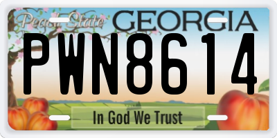 GA license plate PWN8614